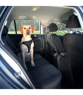 Accessoires pour voyager en voiture avec son chien