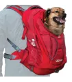 Kurgo G-Train - sac à dos pour chien