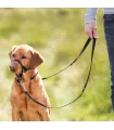 Trixie Top Trainer - Harnais d'éducation pour chien